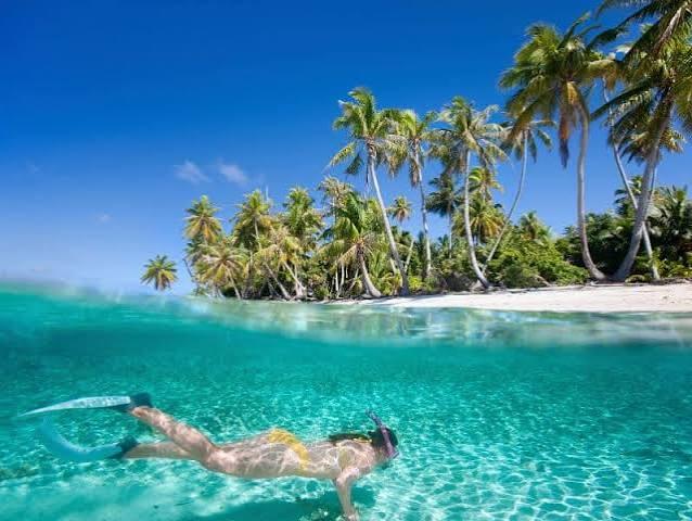 Snorkeling en Playa Granate