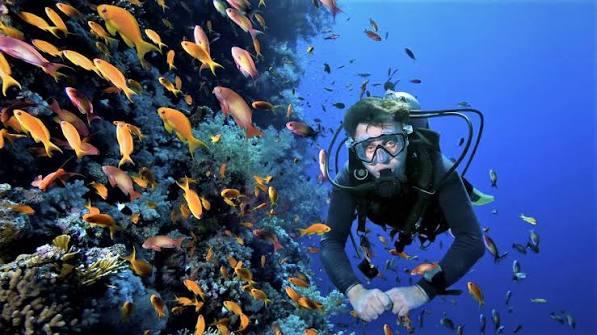 Minicurso Buceo