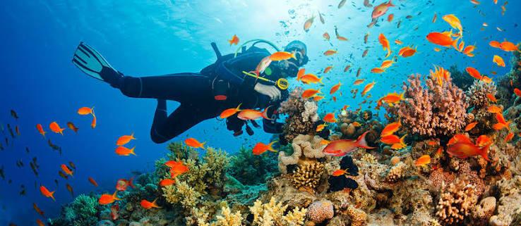 Minicurso Buceo 1