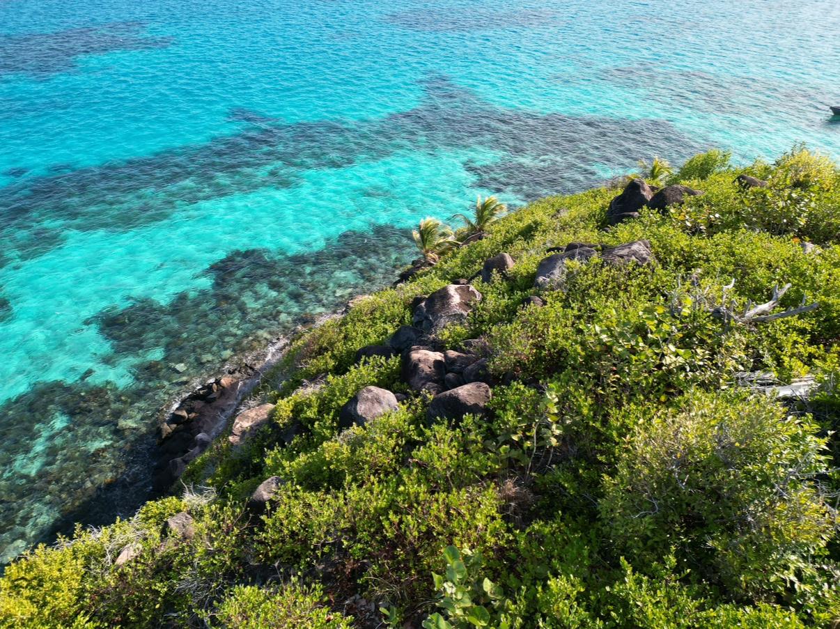 Snorkeling 2