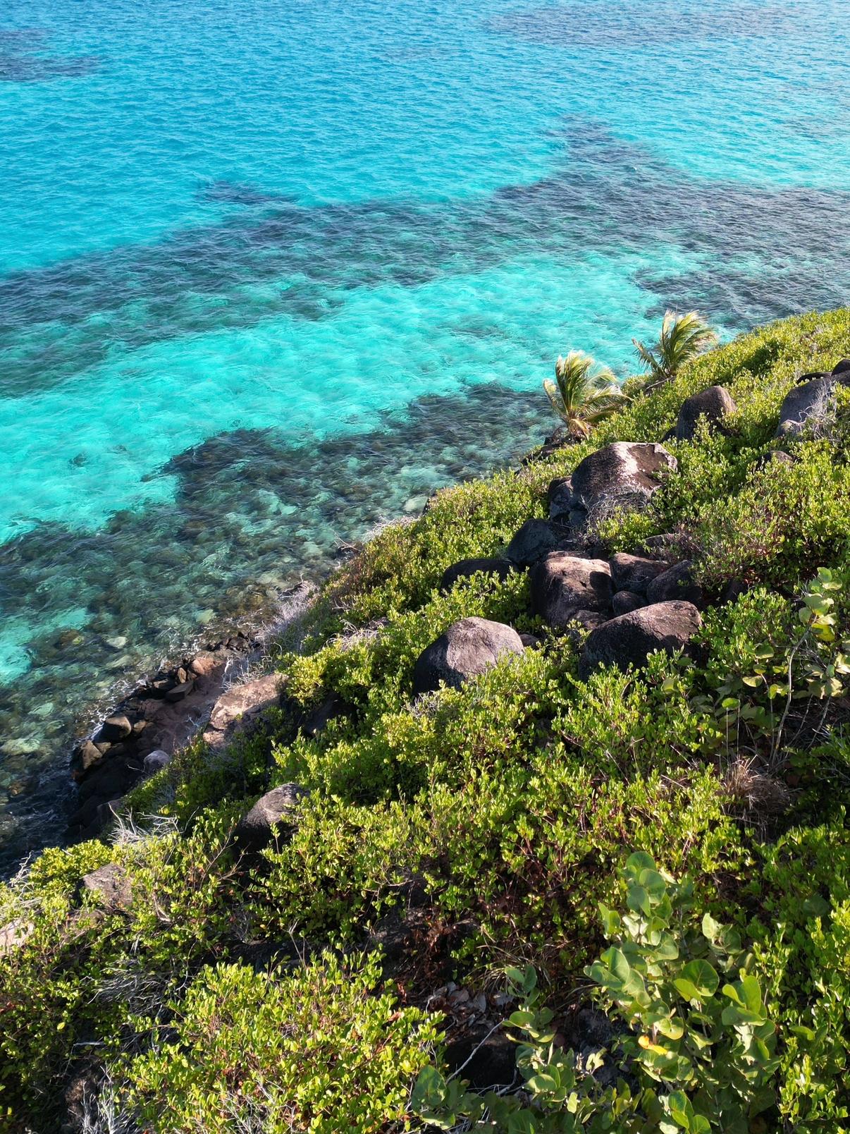 Snorkeling 1