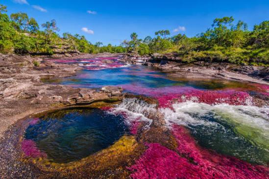 EL RÍO DE LOS CINCO COLORES