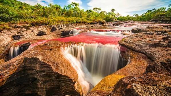 EL RÍO DE LOS CINCO COLORES 3